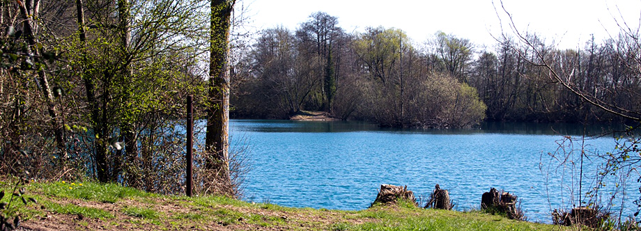 NEW FRENCH CARP FISHERY